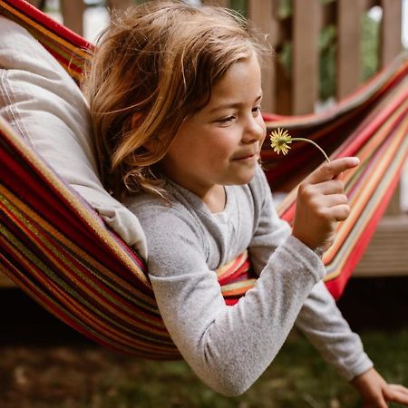 Glamping Lauwersmeer Vierhuizen Exteriör bild
